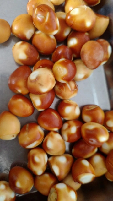 鵪鶉蛋熏烤爐 蒸煮上色烘干一體機 多功能